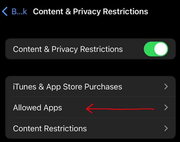 apple-allowed-apps-select.jpg