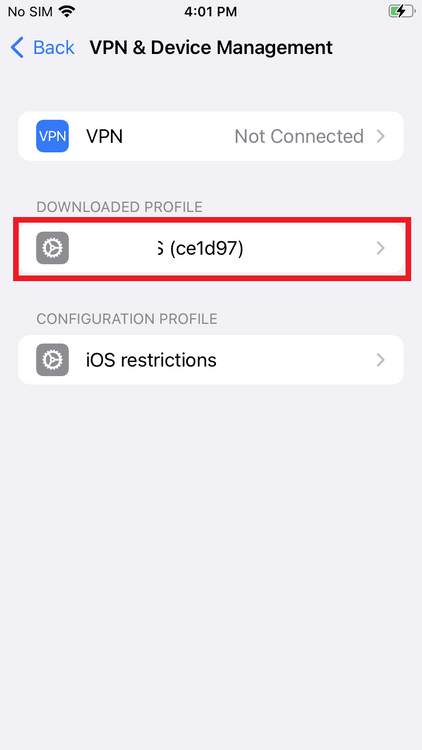 apple-configurator-find-generic-mobileconfig-in-device-settings.png