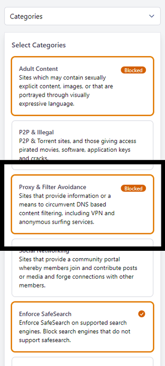 dns-filter-block-proxies-block-vpns-filter-settings.png