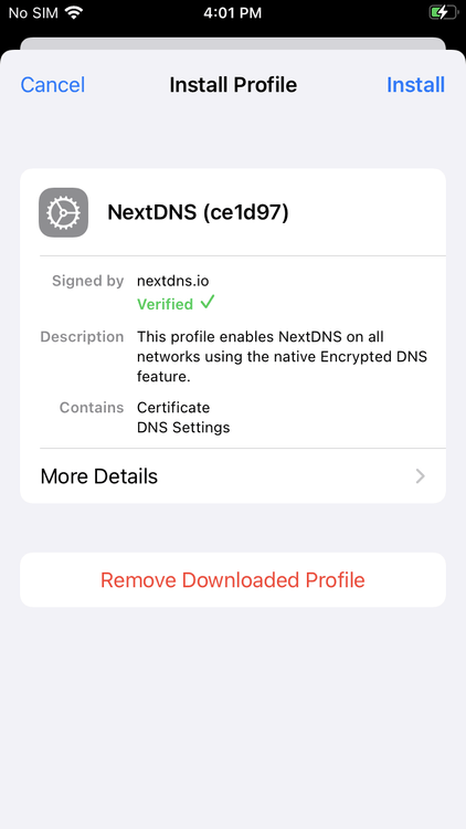iphone-settings-install-nextdns-profile.png