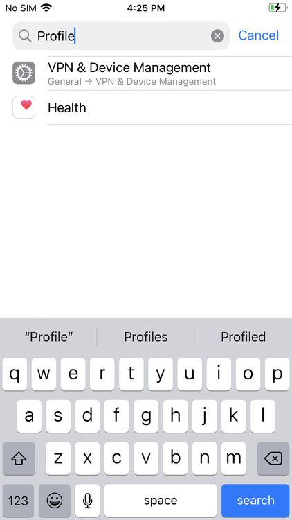 iphone-settings-search-profile.PNG