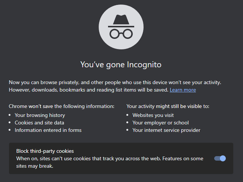 incognito terms.png